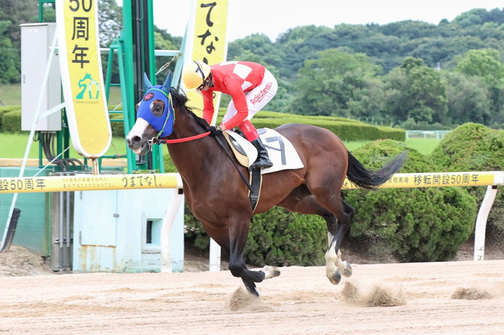 地方競馬情報ｻｲﾄ ﾓﾊﾞｲﾙ - トピックス