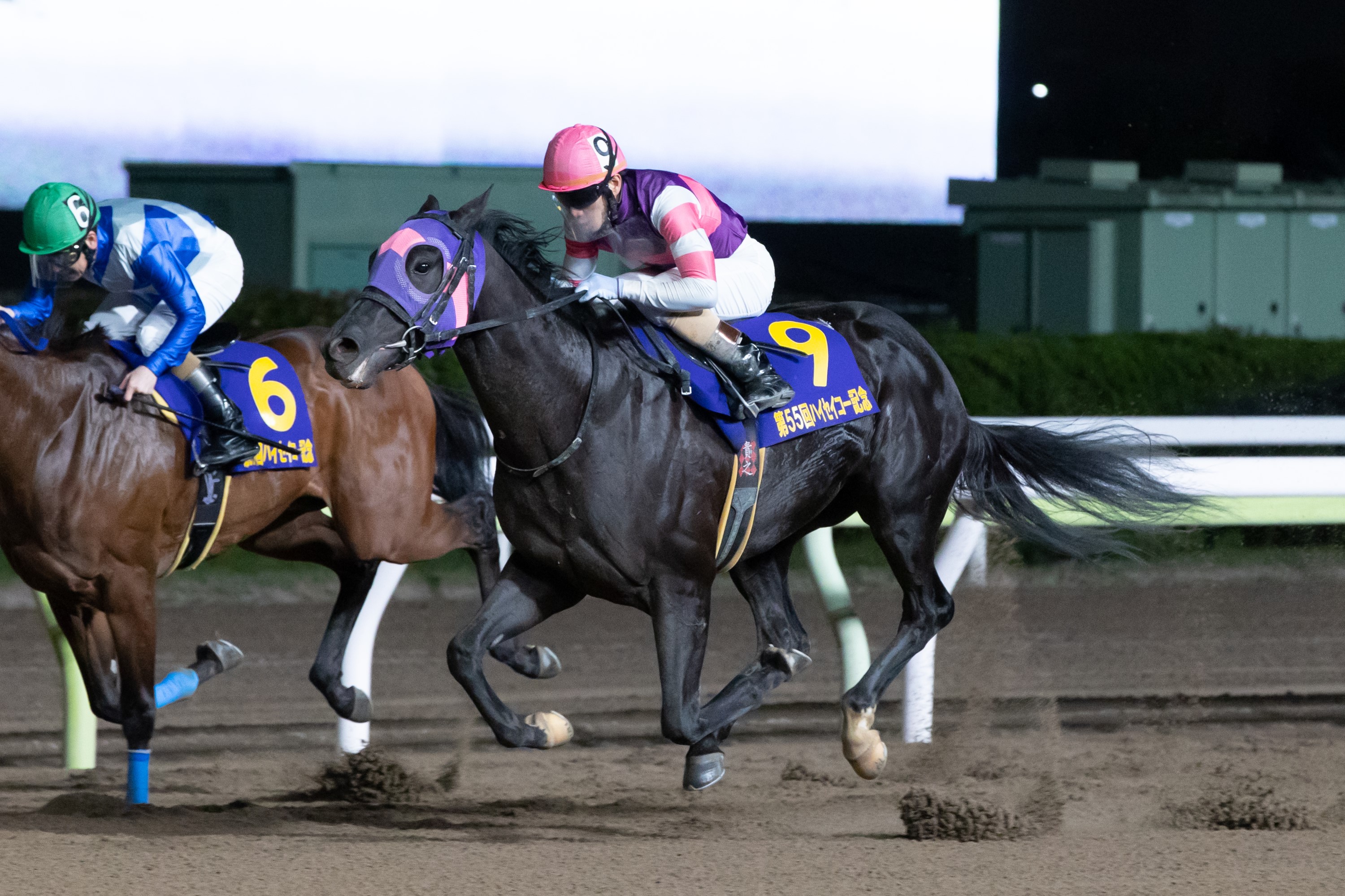 地方競馬情報ｻｲﾄ ﾓﾊﾞｲﾙ - トピックス