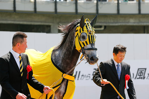 地方競馬情報ｻｲﾄ ﾓﾊﾞｲﾙ - トピックス